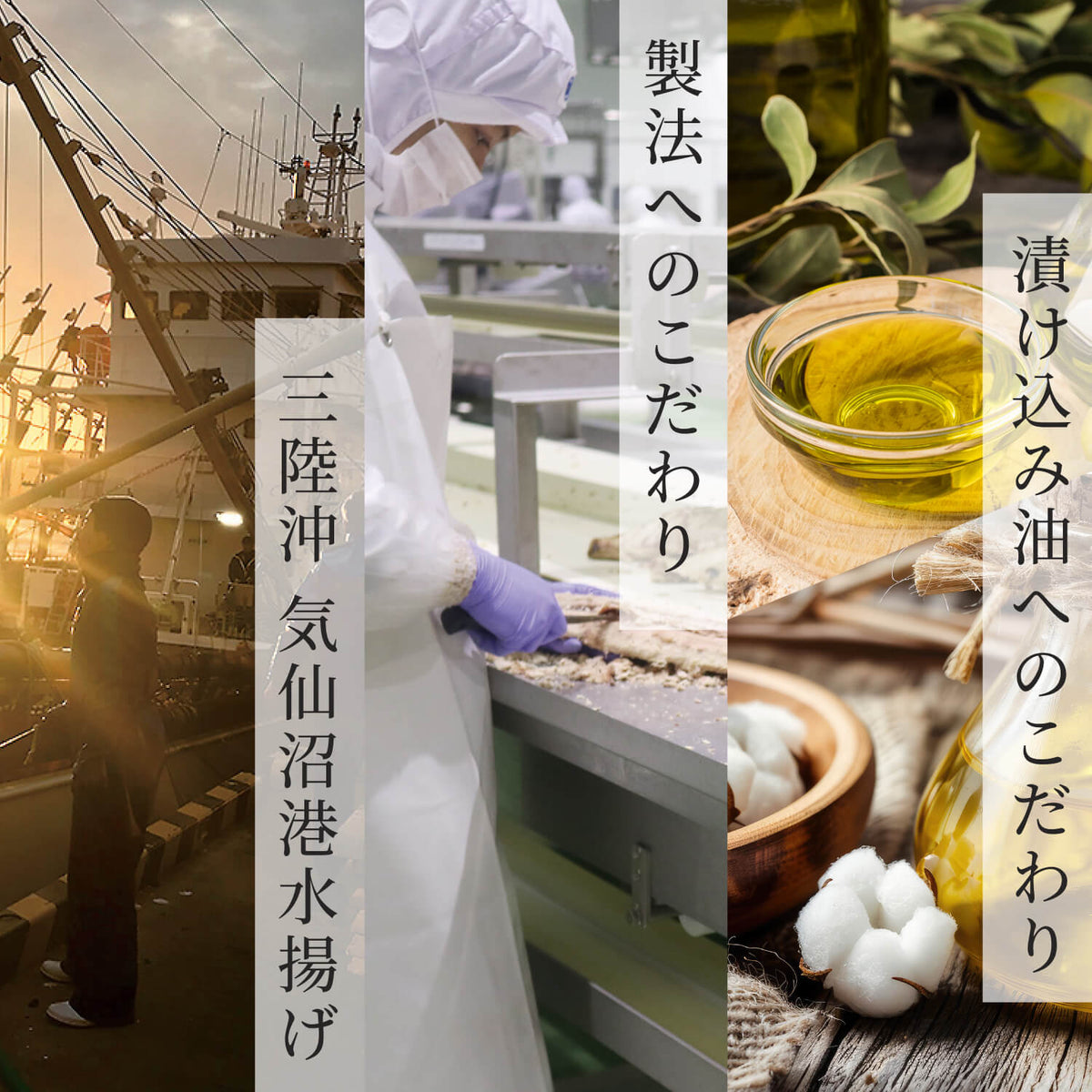 TBS系日曜劇場 VIVANT 缶熟ミッション 6缶セット
